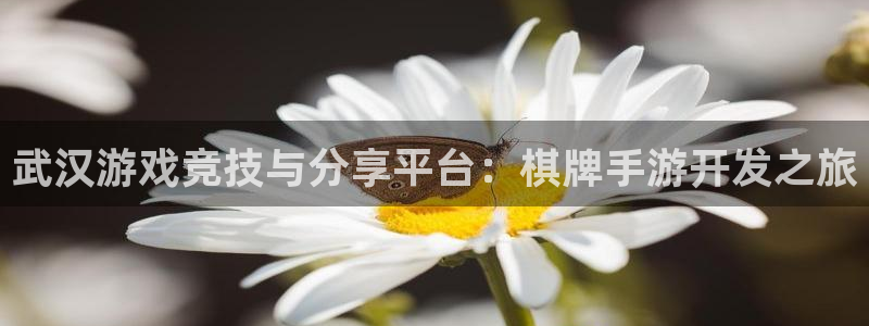 庄闲是什么app：武汉游戏竞技与分享平台：棋牌手游开发之旅