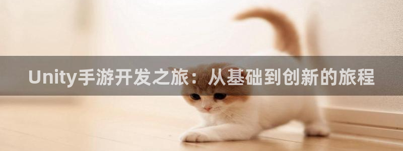 庄闲和游戏玩法：Unity手游开发之旅：从基础到创新的旅程