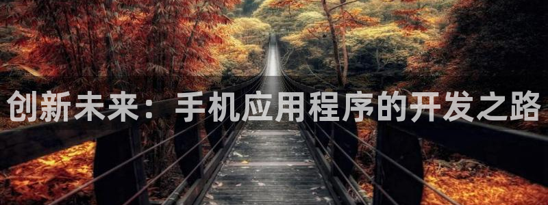 庄闲闲庄庄闲稳不稳：创新未来：手机应用程序的开发之路