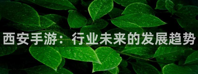 庄闲游戏有几个版本：西安手游：行业未来的发展趋势