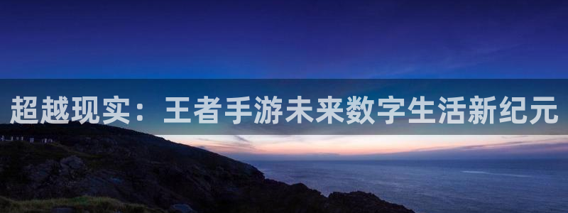 庄闲玩法叫：超越现实：王者手游未来数字生活新纪元