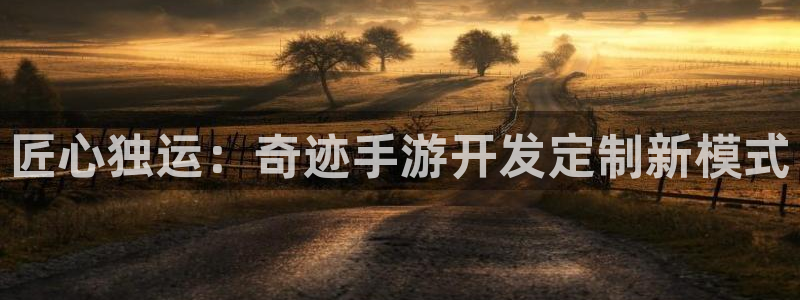 正版庄闲路单软件下载：匠心独运：奇迹手游开发定制新模式