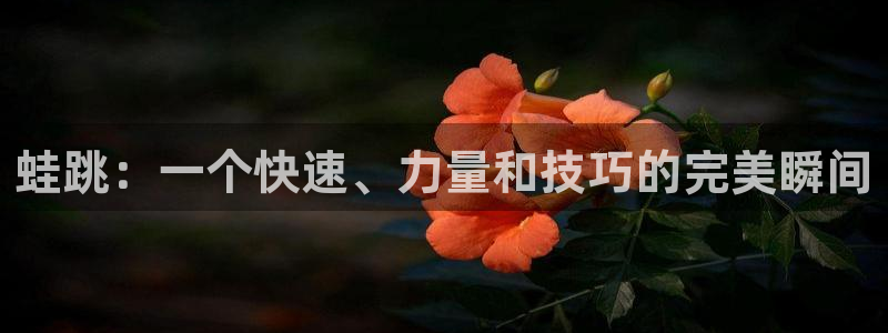 oety欧亿