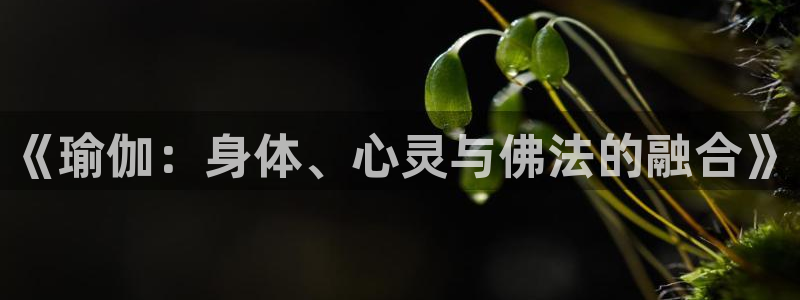 oety欧亿