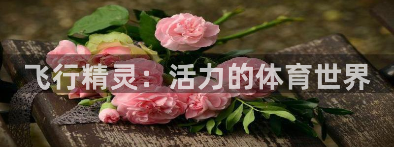 oety欧亿