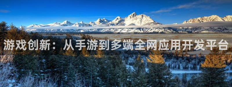 庄闲游戏平台app：游戏创新：从手游到多端全网应用开发平台