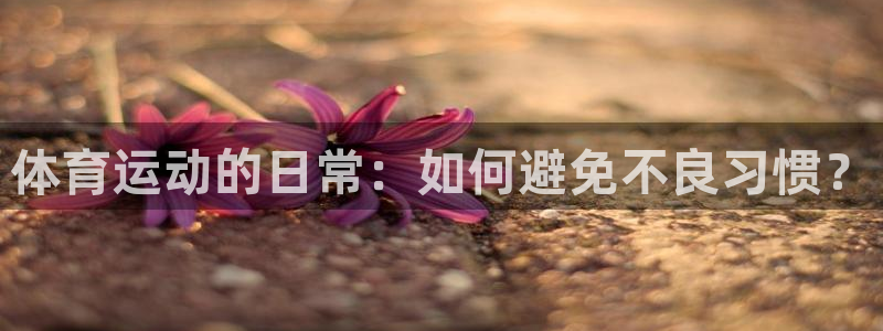 oety欧亿
