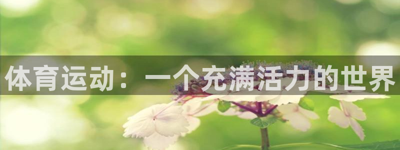 oety欧亿